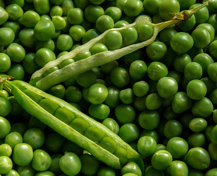 Benefits of Pea Protein Isolate
