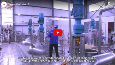 Saigao Factory