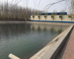 Biological Active Sewage Treatment Pool