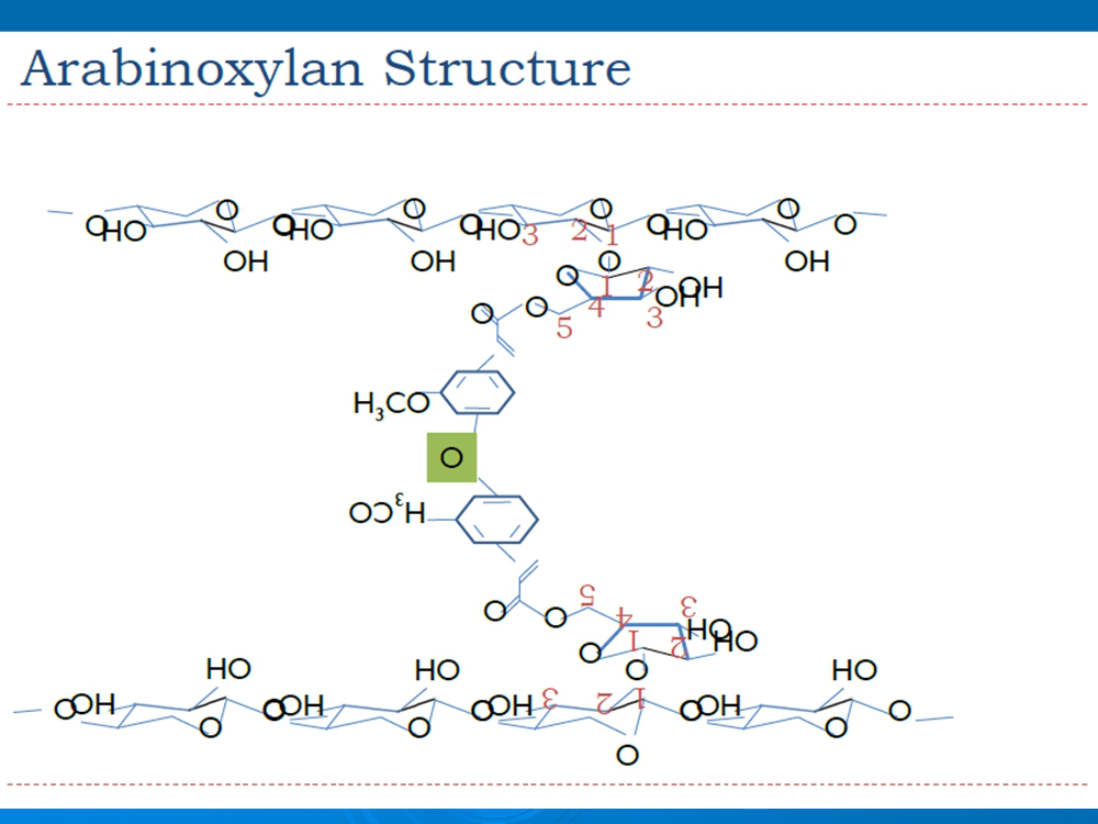 Chemical Structure of Typical Functional Sugar in High Fiber Low Sugar Cereal