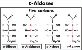 Chemical Structure of Typical Functional Sugar in High Fiber Low Sugar Cereal