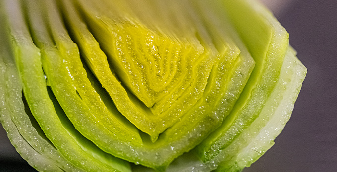 Insoluble Dietary Fiber
