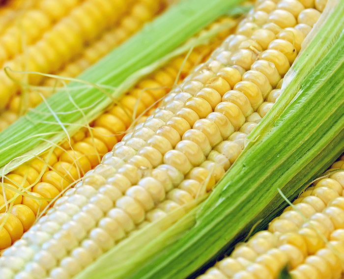 Does Soluble Corn Fiber Raise Blood Sugar?