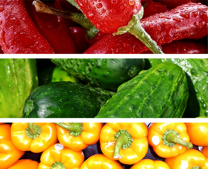 Should You Take Vitamin Supplements Everyday? 