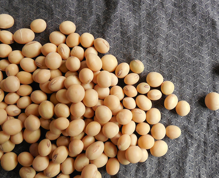 Are Soy Products Safe? 