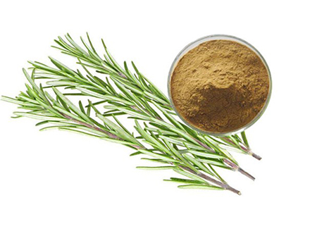 Rosemary Extract