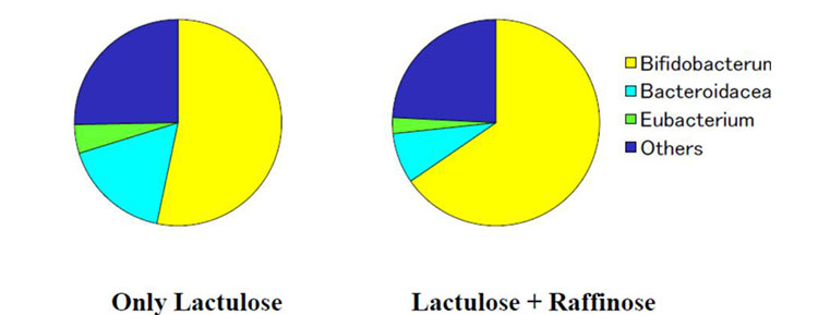 combinatorial-effects-of-oligosaccharides-sugar.jpg