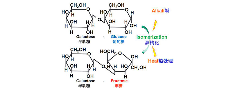 lactulose-formation.jpg