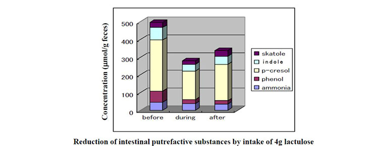 physiological-function-of-saigao-lactulose-as-a-prebiotic.jpg