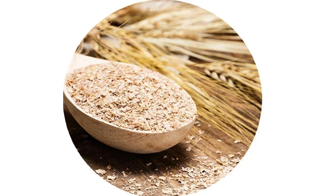 features of wheat dietary fiber