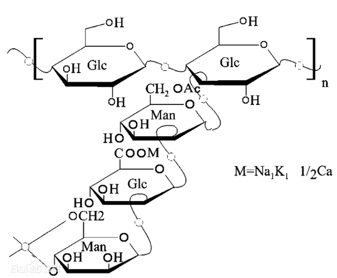 Xanthan Gum