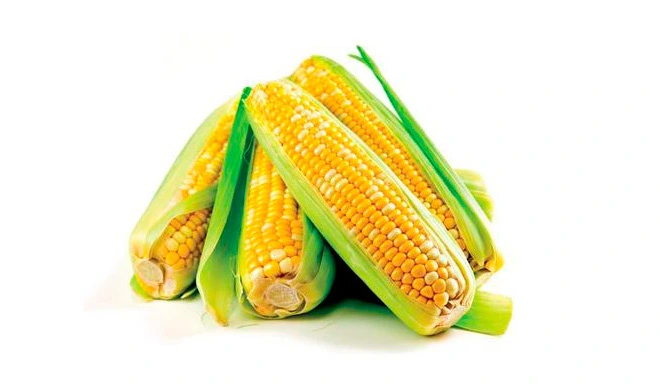organic resistant dextrin syrup corn type 90 2