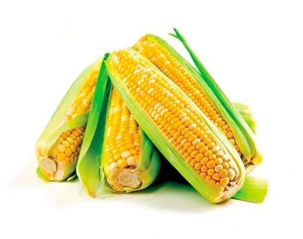 Organic Resistant Dextrin Syrup (Corn Type) 90%