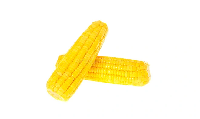 organic resistant maltodextrin powder corn type 70 2