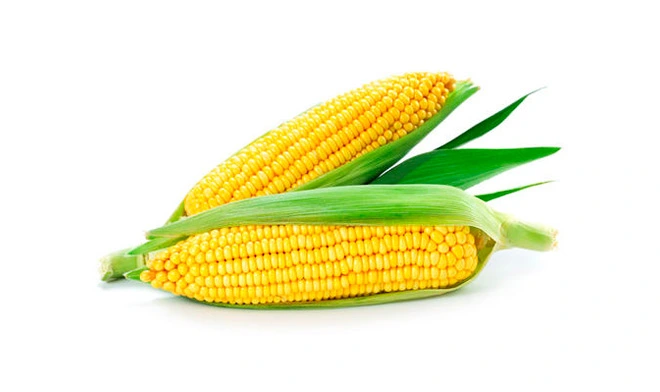 resistant dextrin powder corn type 70 2