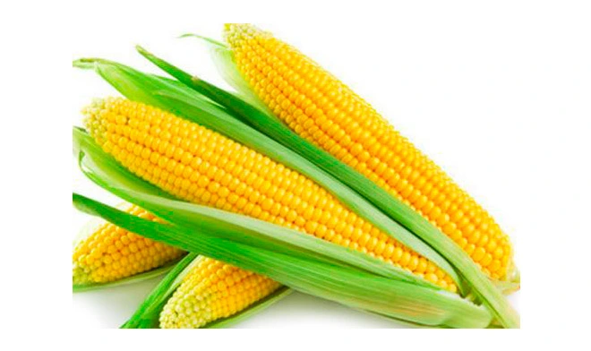 resistant dextrin powder corn type 90 2