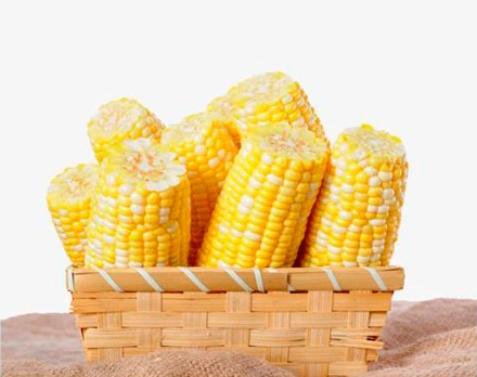 Soluble Corn Fiber Syrup 90%