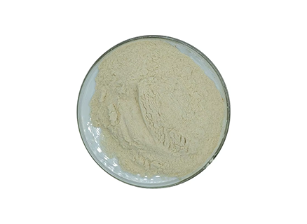 Amylase