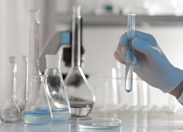 Formulation Development & Optimization
