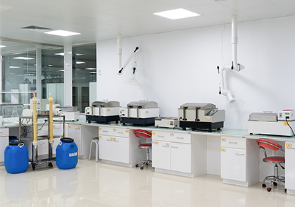 Hydrogenation Workshop