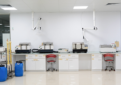 Hydrogenation Workshop