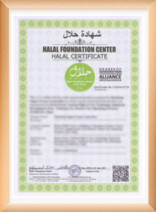 Saigao HALAL Certificate
