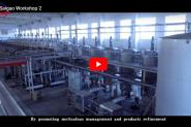Saigao Processing Workshop
