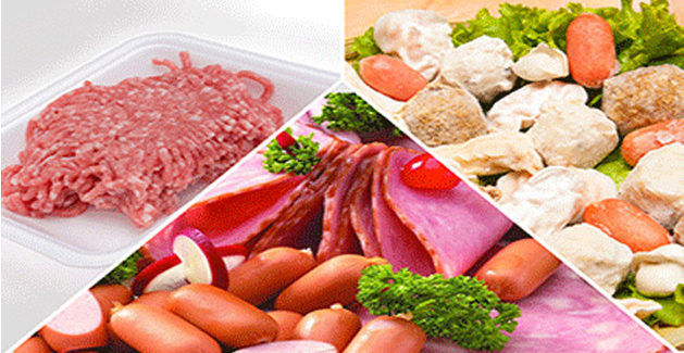 soy-protein-concentrate-dt