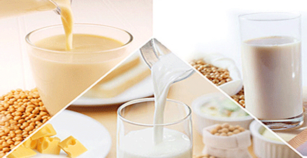 beverage-soybean-protein-isolate-dt