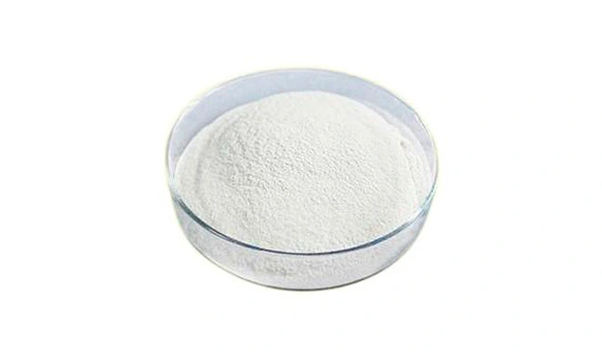 polydextrose-powder-sugar-free-type-1