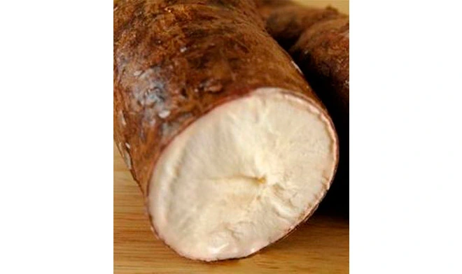 organic-resistant-dextrin-powder-tapioca-type-70-2