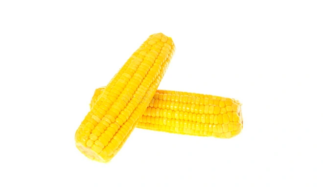 organic-soluble-corn-fiber-powder-70-2