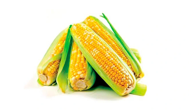 organic-soluble-corn-fiber-syrup-90-2