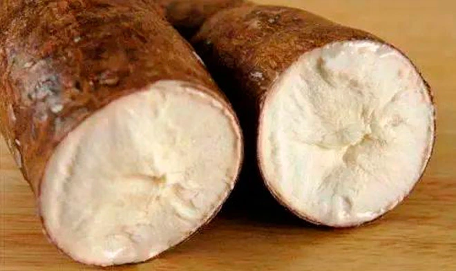 resistant-dextrin-powder-tapioca-type-70-2