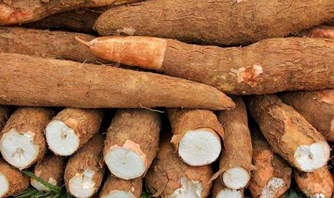 resistant-dextrin-powder-tapioca-type-90-2