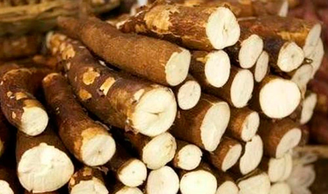 soluble-tapioca-fiber-syrup-70-1